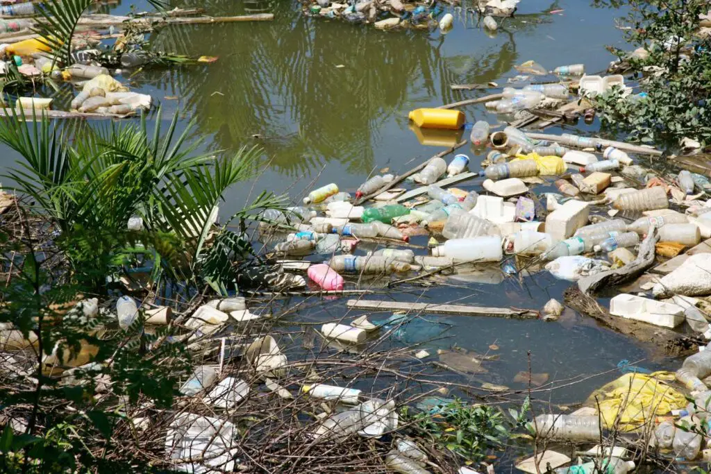 The Devastating Water Pollution Consequences