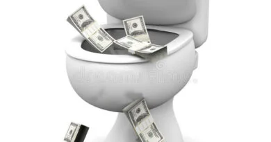 dollar toilet 18585298