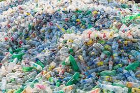 Confronting the Menace of Plastic Waste Pollution 