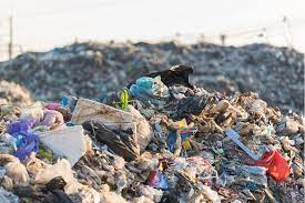 Do Landfills Decompose? 