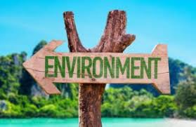 Go Green Environmental Empowerment