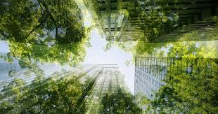 Green Building: A Sustainable Approach to a Better Future