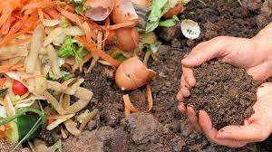 The Impact of Composting Business Ideas