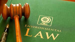 Understanding the Basics of Environmental Law