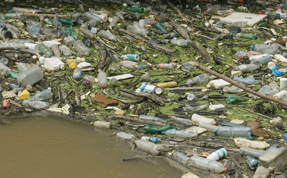 Reducing Water Pollution: A Comprehensive Guide