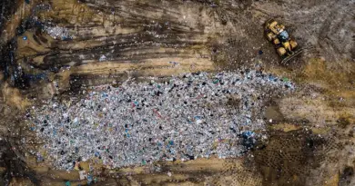 Do Landfills Decompose? A Closer Look at the Process