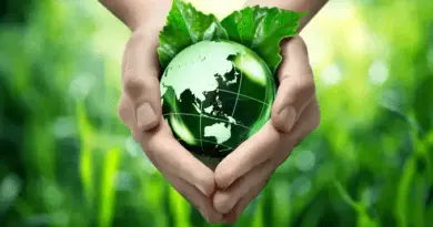 The Benefits of Environmental Protection Act: A Comprehensive Guide