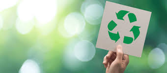 How to Reduce Your Environmental Impact