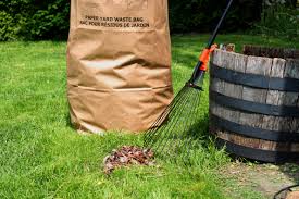 Uncovering the Hidden Treasures of Yard Waste