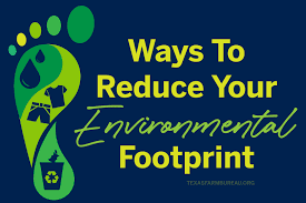 How to Reduce Your Environmental Impact