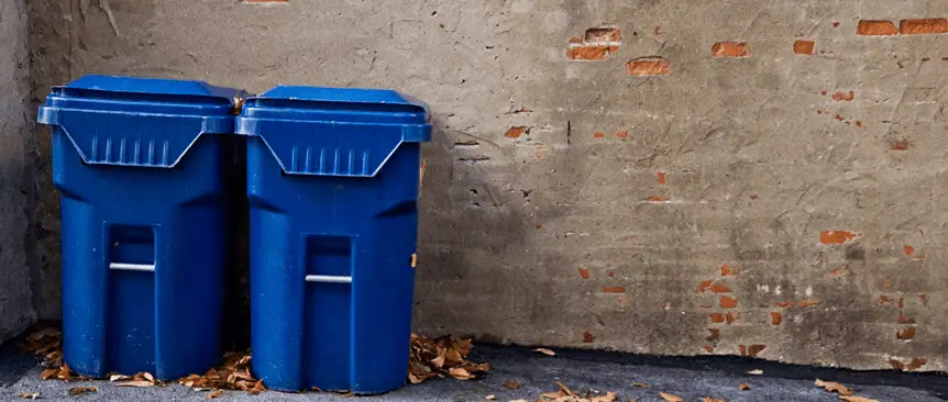 Reasons Why Food Workers Should Keep Garbage Cans Clean and Free of Buildup