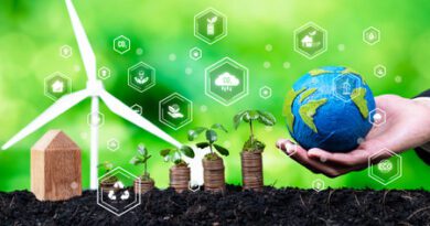 Environmental Management Tips for Businesses 