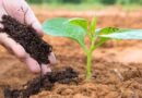 Waste To Fertilizer: What You Need to Know