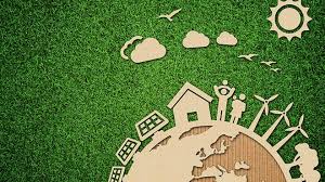 Guide to Environmental Management Tips for Sustainable Living