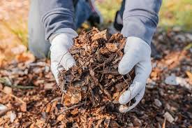 The Impact of Waste to Compost Business