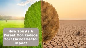 Reducing your Environmental Impact