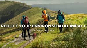 Reducing your Environmental Impact