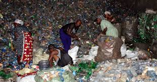 The Impact of Business Waste Recycling Services on Our Environment