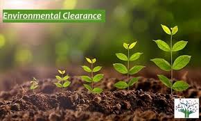 Environmental Management Tips for Businesses 