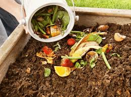 How to Convert Organic Waste (Composting) into Compost for Gardening and Agriculture
