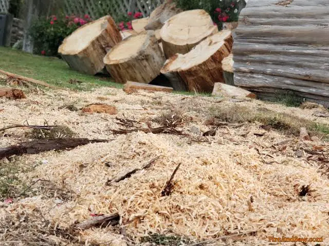 Practical Steps to Convert Wood Wastes into Mulch