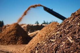 Practical Steps to Convert Wood Wastes into Compost