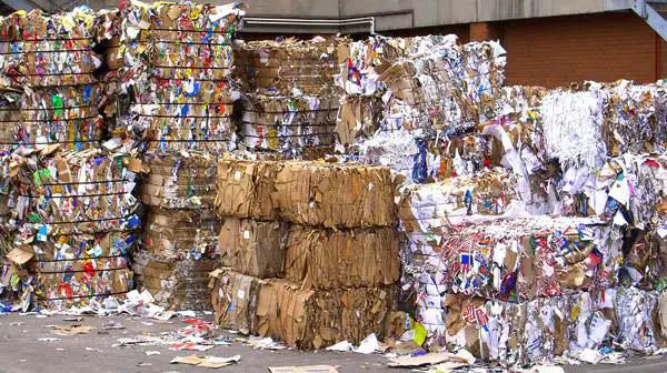 Practical Steps to Convert Cardboard Wastes into New Cardboard