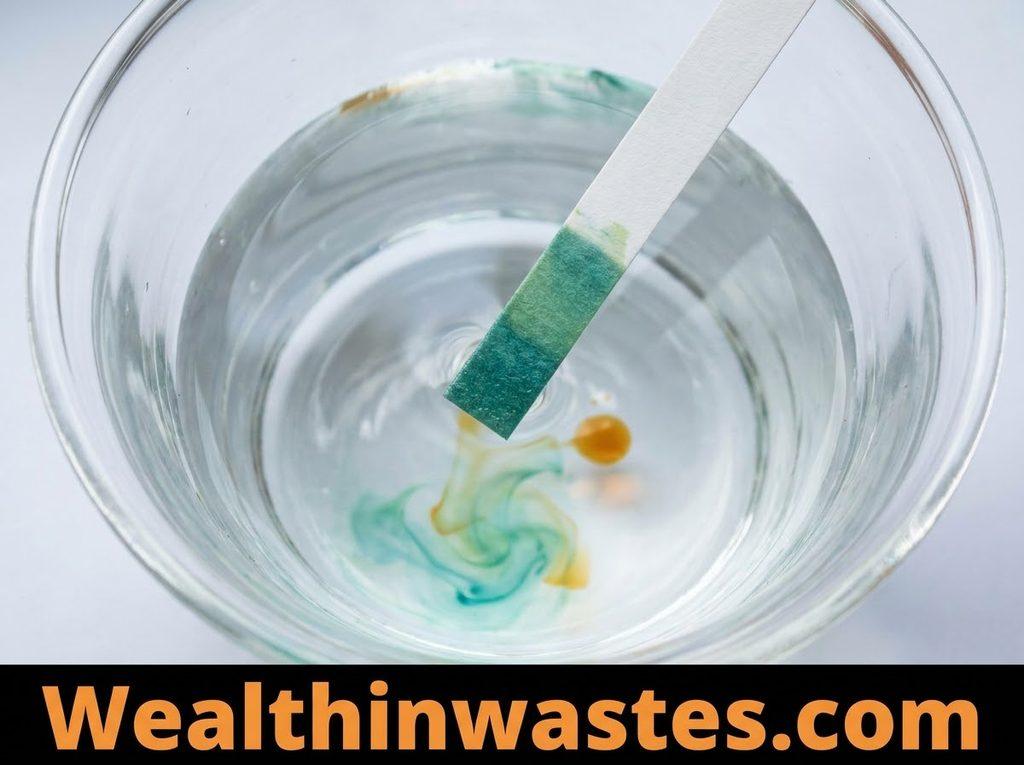 Chemical and Physical Properties of a Water Body
