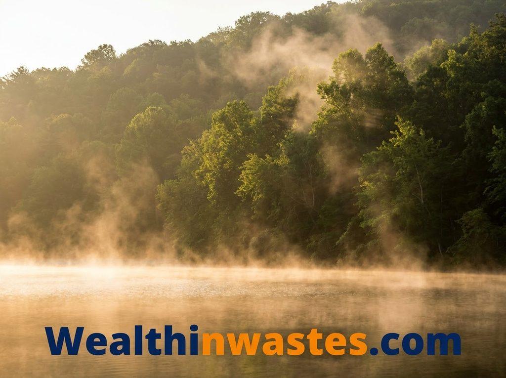 Hydrologic Processes and the Biosphere