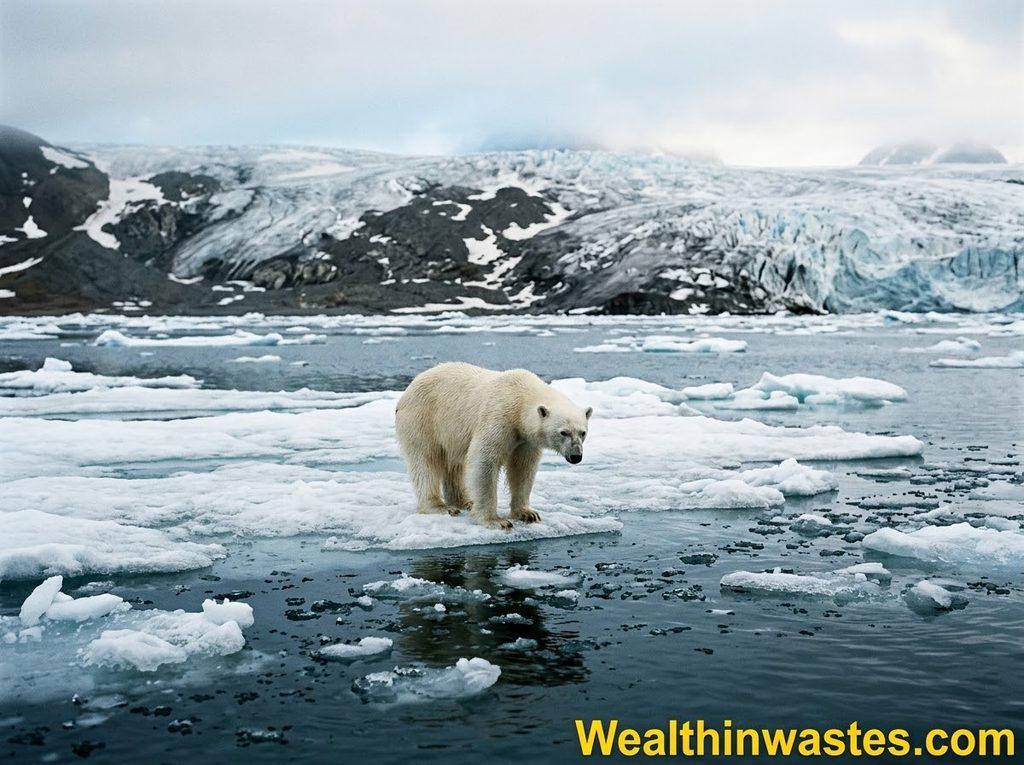 Climate Change and Sustainability for a Resilient Future