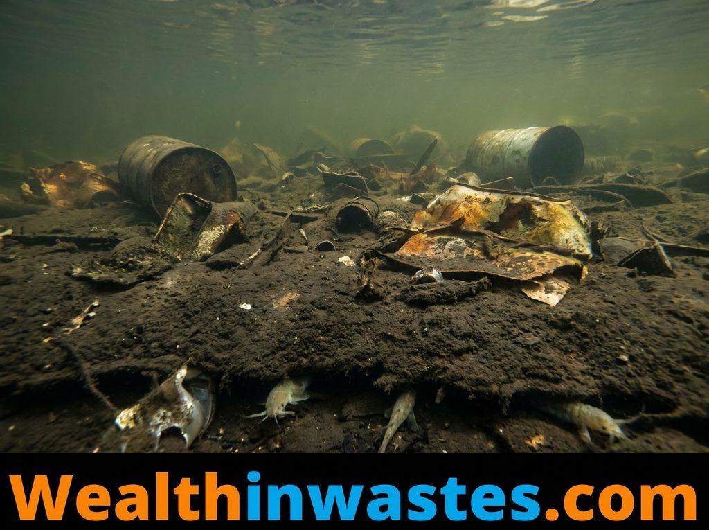 Effects of Hazardous Substances on Water and Aquatic Life