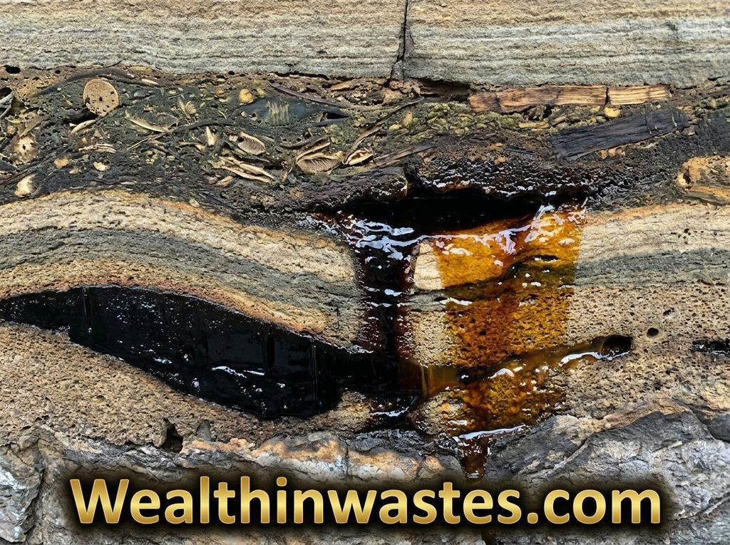 Origin of Crude Oil, Raw Materials and Source Rock