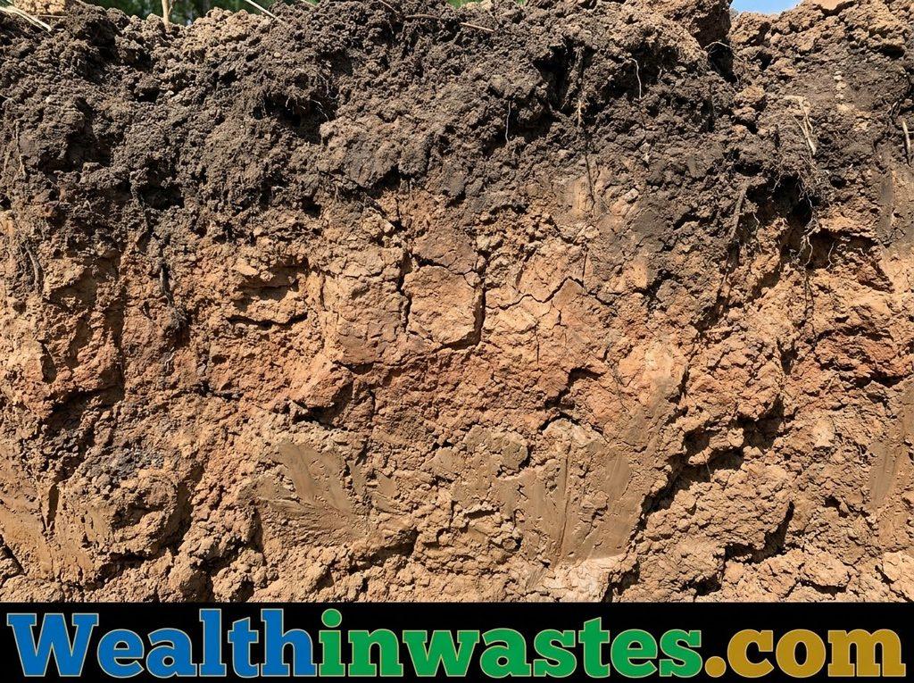 Factors Affecting the Mobility of Other Toxicants in Soil