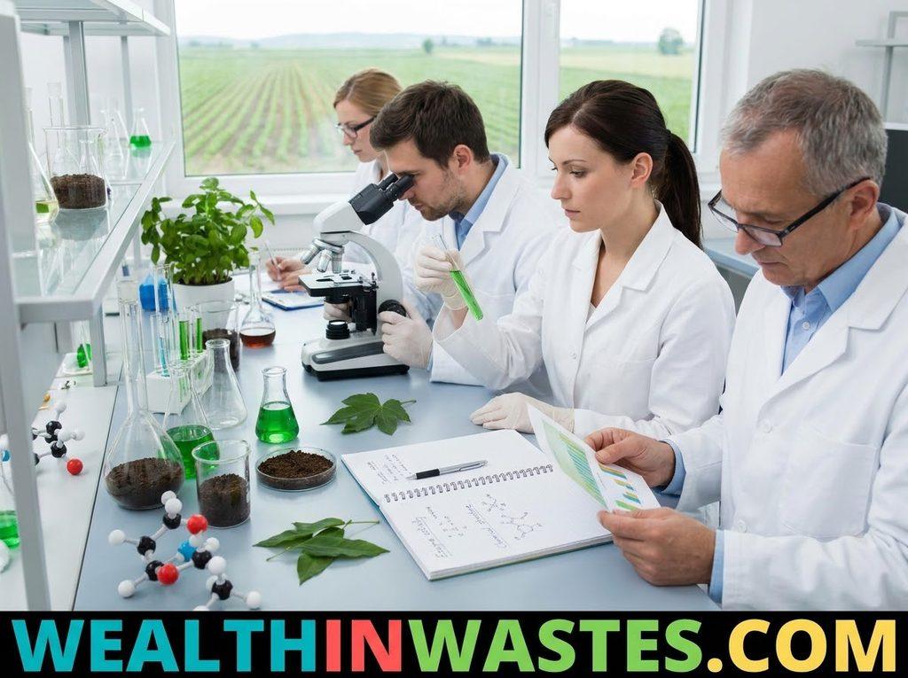 Understanding Pesticide Metabolism in the Human Body