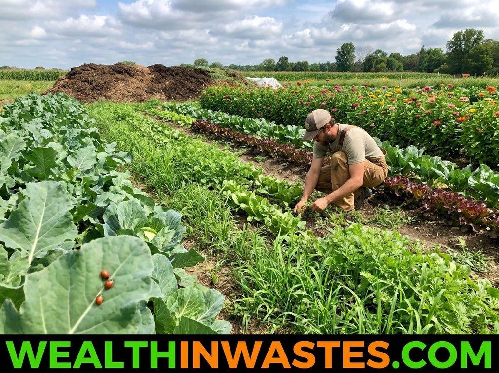 Preventive Measures to Reduce Pesticide Residues In vegetables and Fruits