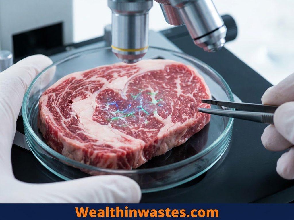 Degradation and Metabolism of Pesticides in Animals