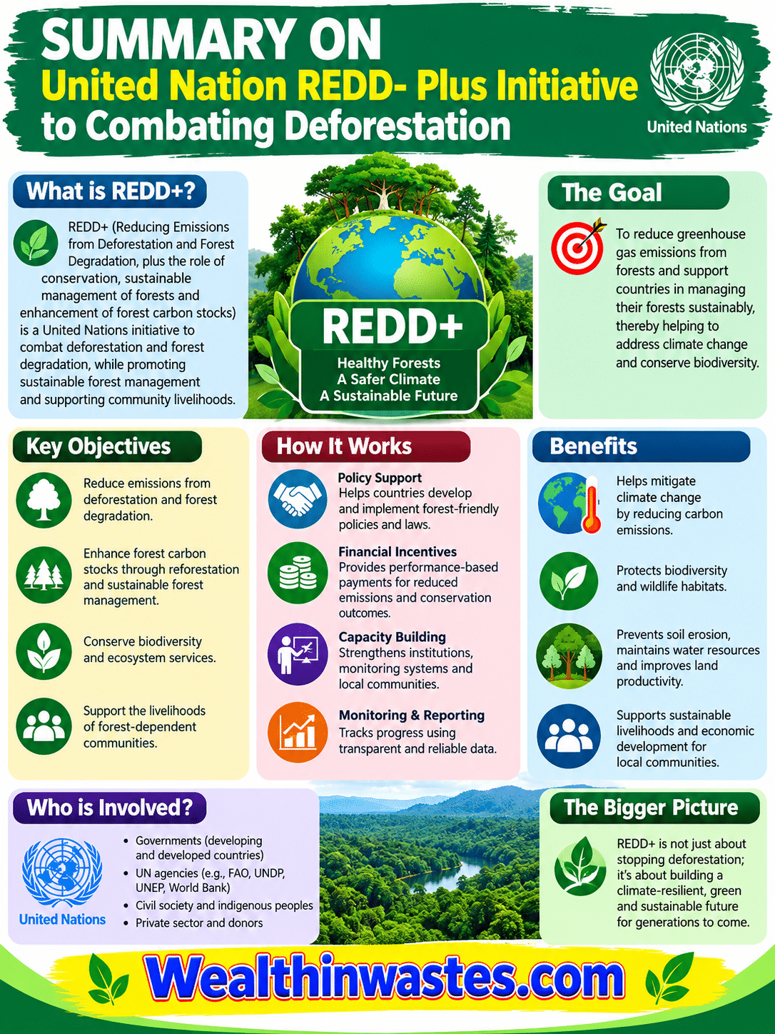 United Nation REDD- Plus Initiative to Combating Deforestation